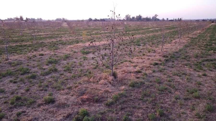  Bedroom Property for Sale in Jan Kempdorp Rural Northern Cape